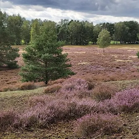 De Luet Ferienhof Jameln Экстерьер фото
