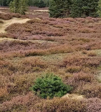 De Luet Ferienhof Jameln Экстерьер фото