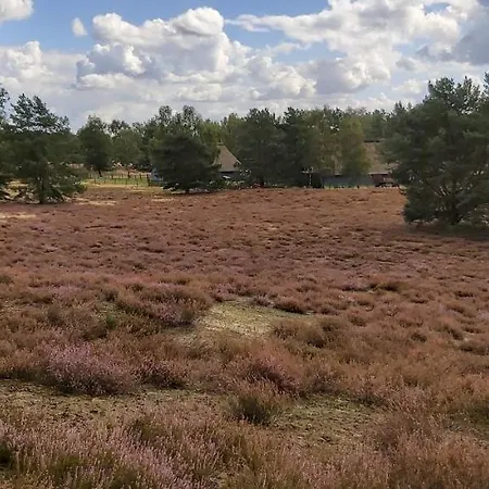 De Luet Ferienhof Jameln Экстерьер фото
