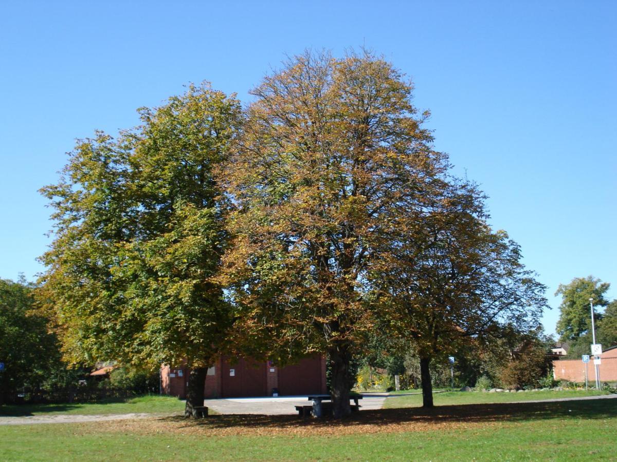 De Luet Jameln