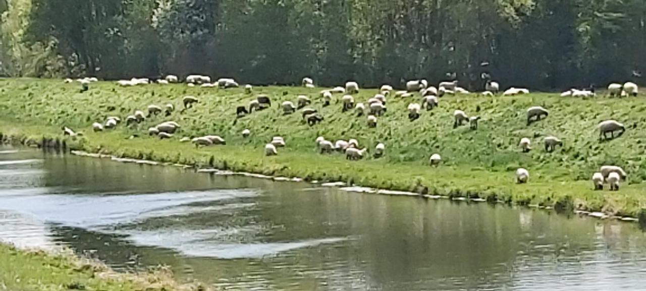 Apartment De Luet Jameln